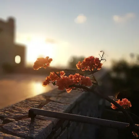 Athevillas Chrysoula Villa *