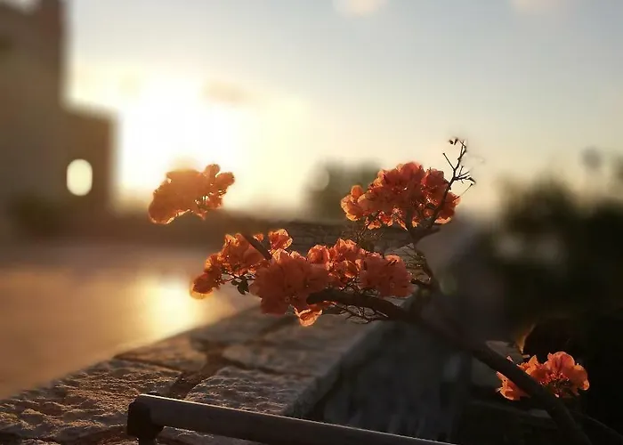 Athevillas Chrysoula וילה *